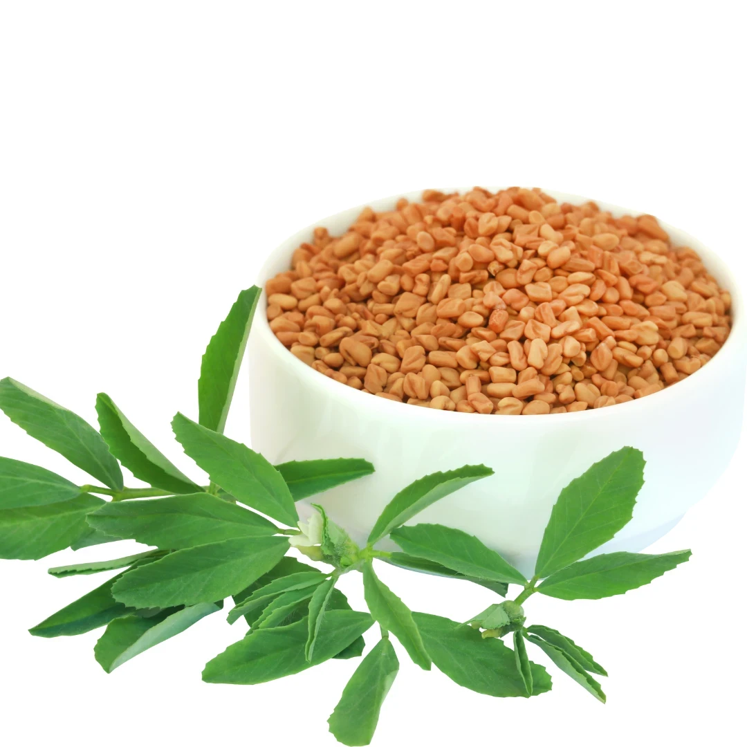 Methi Extract