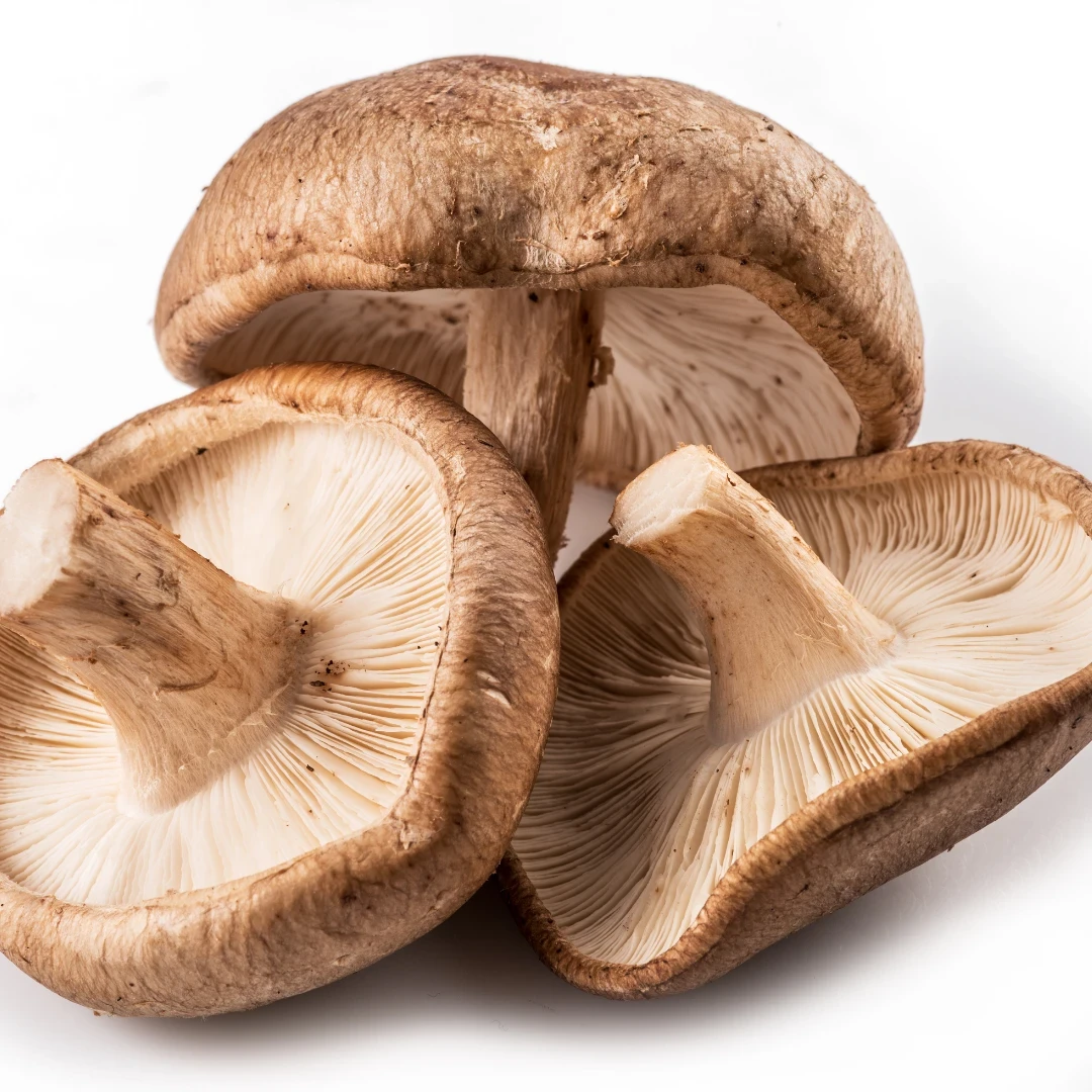 Shiitake Mushroom