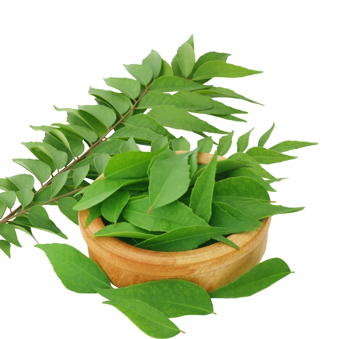 Curry Leaves