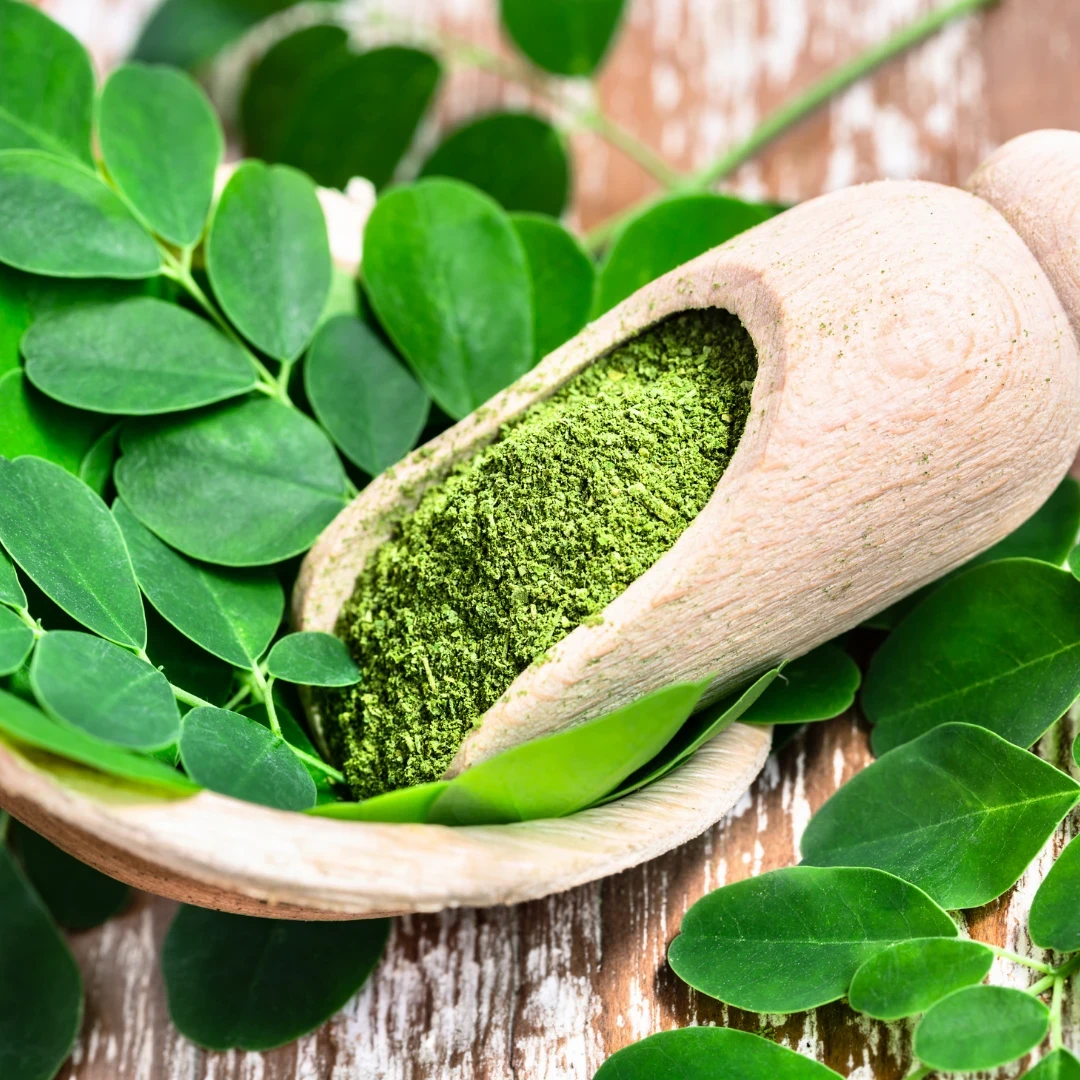 Moringa